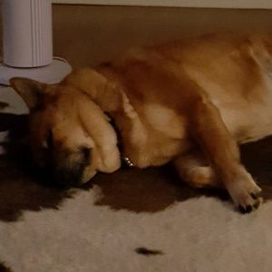 Meet your Posher, Caitlin